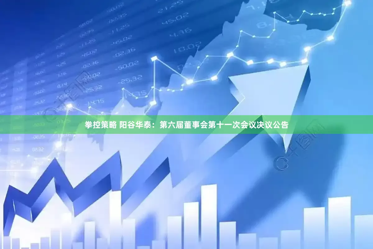 拳控策略 阳谷华泰：第六届董事会第十一次会议决议公告