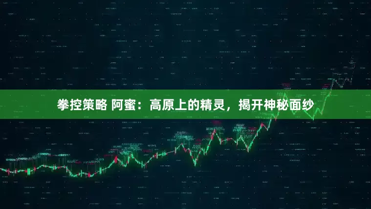 拳控策略 阿蜜：高原上的精灵，揭开神秘面纱