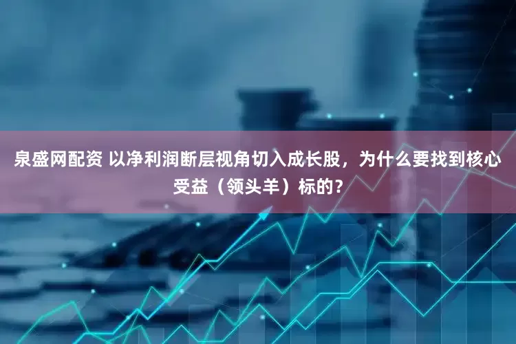泉盛网配资 以净利润断层视角切入成长股，为什么要找到核心受益（领头羊）标的？