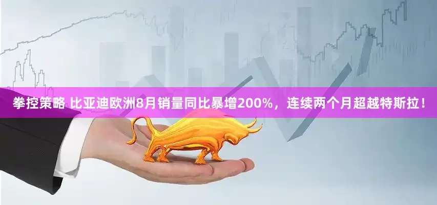 拳控策略 比亚迪欧洲8月销量同比暴增200%，连续两个月超越特斯拉！